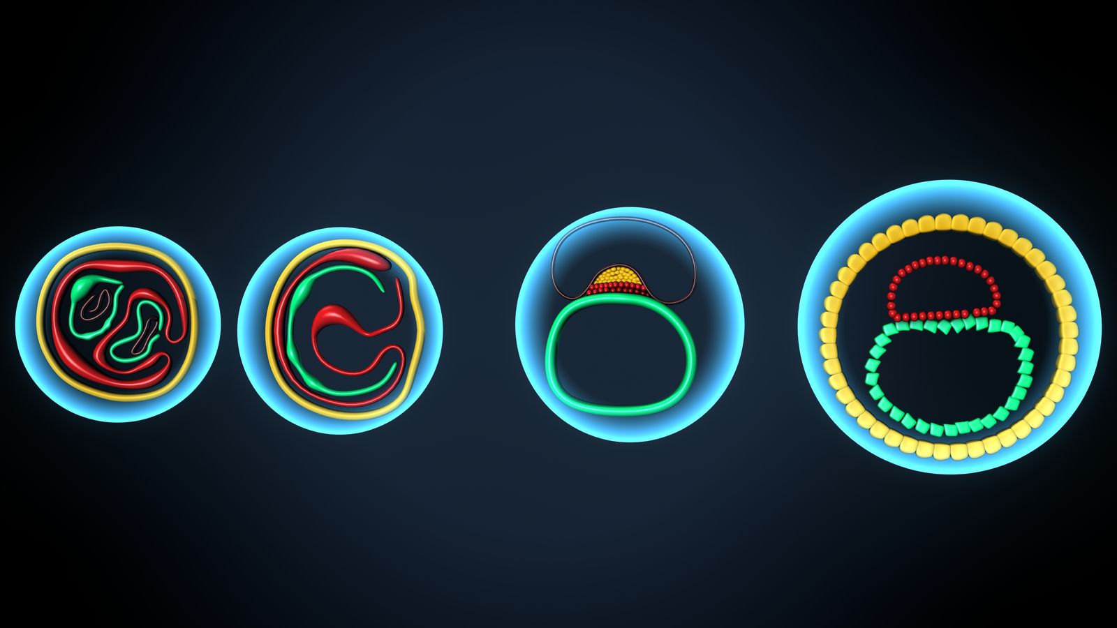 Motion timing comparison